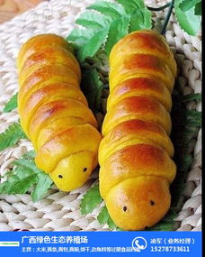 綠色生態(tài)養(yǎng)殖與過(guò)期面條回收 橫瀝鎮(zhèn)食品經(jīng)營(yíng)的循環(huán)經(jīng)濟(jì)新探索