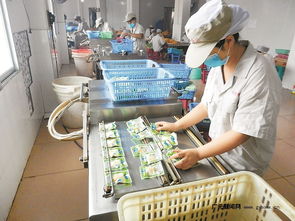 區域優勢轉化為發展動能 四川打造一批商貿物流特色鎮，食品經營煥發新活力